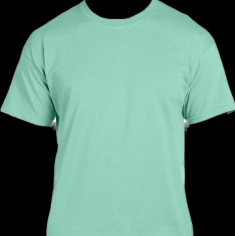 10 brand new hanes unisex shirts clean mint